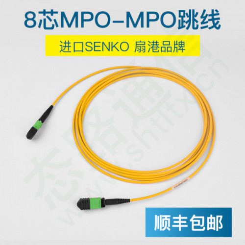 8芯MPO-MPO單模G657A進(jìn)口MPO光纖跳線