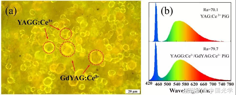 圖1：YAGG:Ce3?/GdYAG:Ce3?復合熒光玻璃的（a）微觀結構及（b）與藍色激光組合的發(fā)射光譜