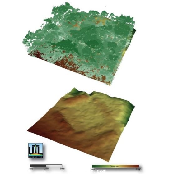 　上圖為研究人員繪制的林木線，下圖為“看穿”樹(shù)蔭后揭示的地面 